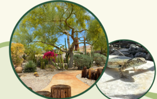 Cabot's Pueblo Museum